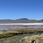 Photo taken by Mai S