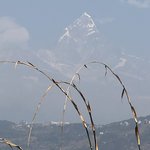 Machapuchare Mountain viewed from the Peace Pagoda | Photo taken by Subha N
