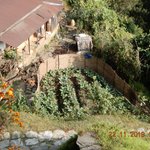 Photo taken by Wayne D