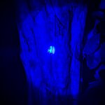 Photo taken by nikunj g