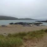 Photo taken by Veronica O