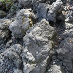 Photo taken by Beth S