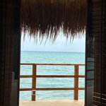 Photo taken by Amanda P