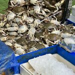 Photo taken by Kathleen N