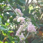 Photo taken by Brett F