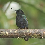 Photo taken by Marcia G