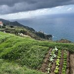 Photo taken by Gail B