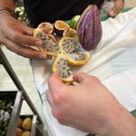 Photo taken by Tricia E