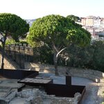 Photo taken by Tom K