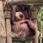 Photo taken by SANTHI S