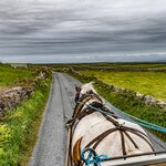 Photo taken by Peter B