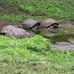 Photo taken by Jennifer A