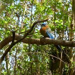 Photo taken by Kristen L