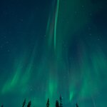 Photo taken by Bianca C