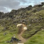 Photo taken by Jia Yi L