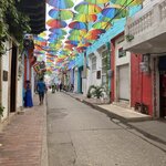 Photo taken by Bincy P