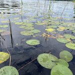 Photo taken by Becky L