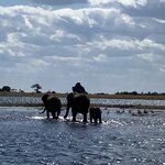 Photo taken by rhonda c