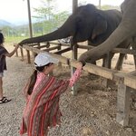 Photo taken by Agustin D