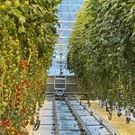 Photo taken by Emerson A