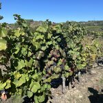 Photo taken by Julie G