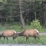 Photo taken by Debbie W