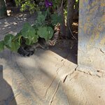 Photo taken by Mike K