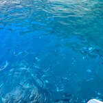 Photo taken by Nora A