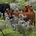 Photo taken by Donna W