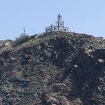 Photo taken by Liz S