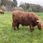 Photo taken by Frank L