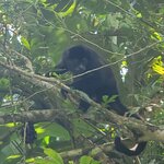 Photo taken by Lisa R