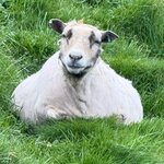 Photo taken by Amy W