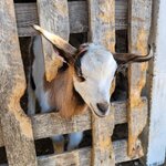 Photo taken by Sharon K