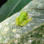 Photo taken by Mordechay T