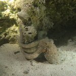 Photo taken by alai a