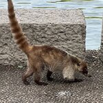 Photo taken by AnaElvia S