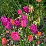 Photo taken by Karen M