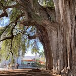 Photo taken by Pacita D