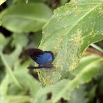 Photo taken by Mary K