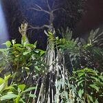 Photo taken by Brett F