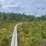 Photo taken by Becky L