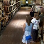 Photo taken by BARSHA C