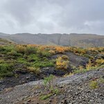 Photo taken by Aleksandra D