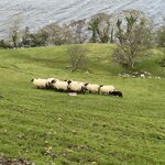 Photo taken by Ezekiel P