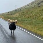 Photo taken by Kara R