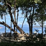 Photo taken by Jaya C