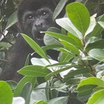 Photo taken by Chris H