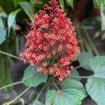 Photo taken by Matt P