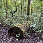 Photo taken by Lauren A